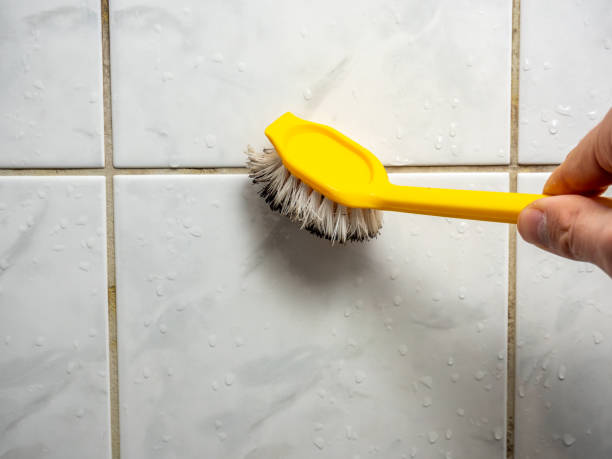 Best Mold Remediation  in Dickson City, PA